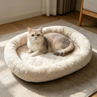 The Little Cloud - For Cats & Small Dogs